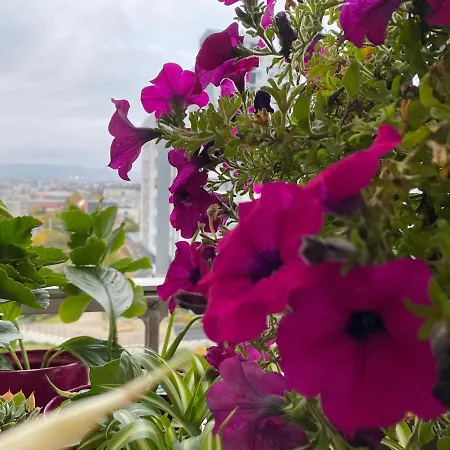 Les Meubles Les Domes Du Parc Lägenhet Clermont-Ferrand