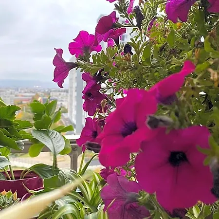Les Meubles Les Domes Du Parc * 克莱蒙费朗