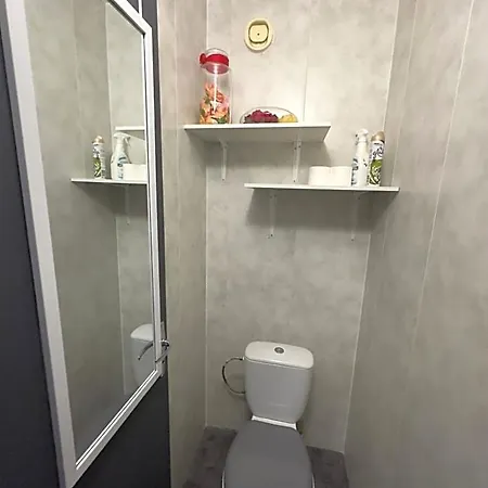 Les Meubles Les Domes Du Parc 公寓 克莱蒙费朗