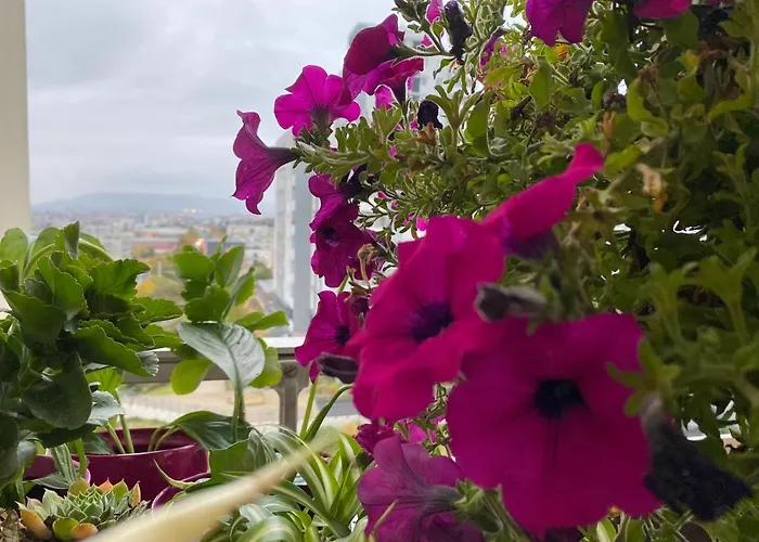 Les Meubles Les Domes Du Parc Apartment Clermont-Ferrand