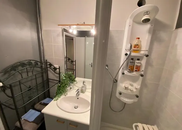 Les Meubles Les Domes Du Parc Apartment